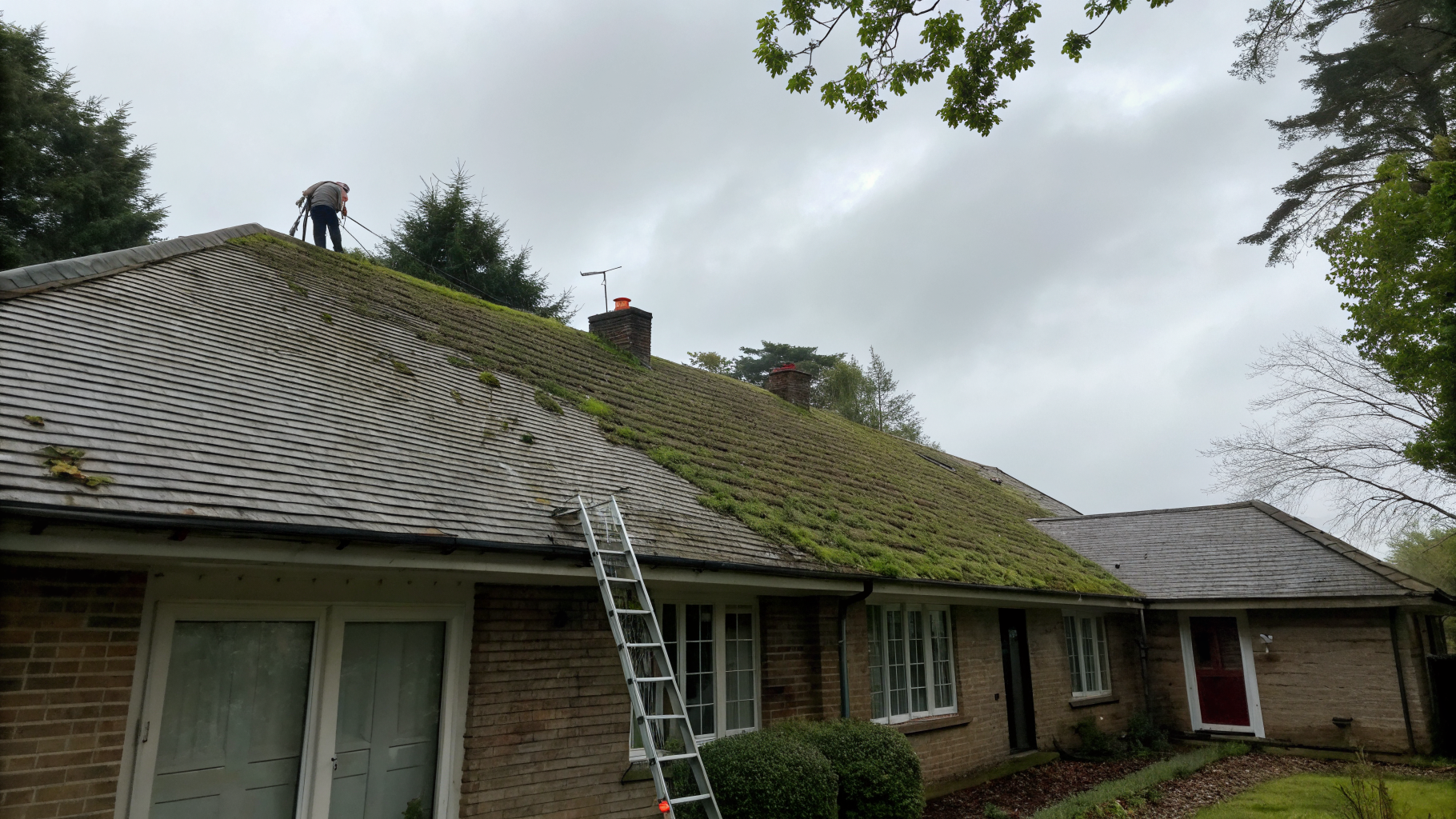 Clean, moss-free roof on a Birmingham home after a professional roof cleaning service